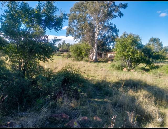 11,879M² VACANT LAND FOR SALE IN KOPPIES RURAL